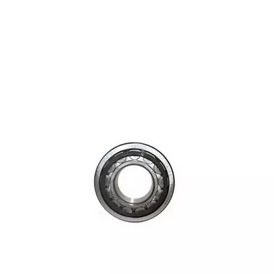 Versterkt lager Cilindrische rollager IEC160 - IEC315